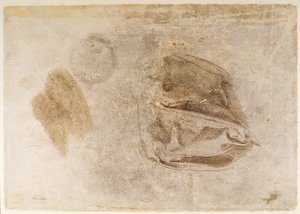 Study for the robes of the Erythraean Sibyl by Michelangelo Buonarroti